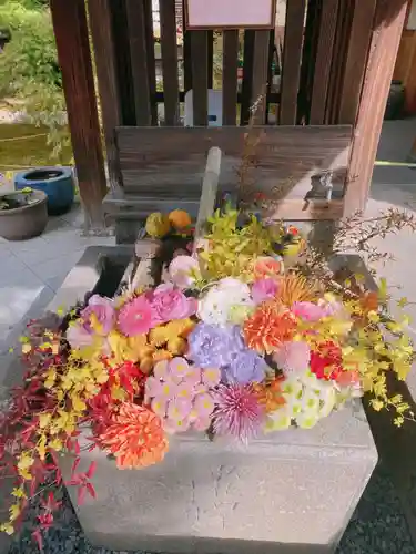 勝林寺の手水舎