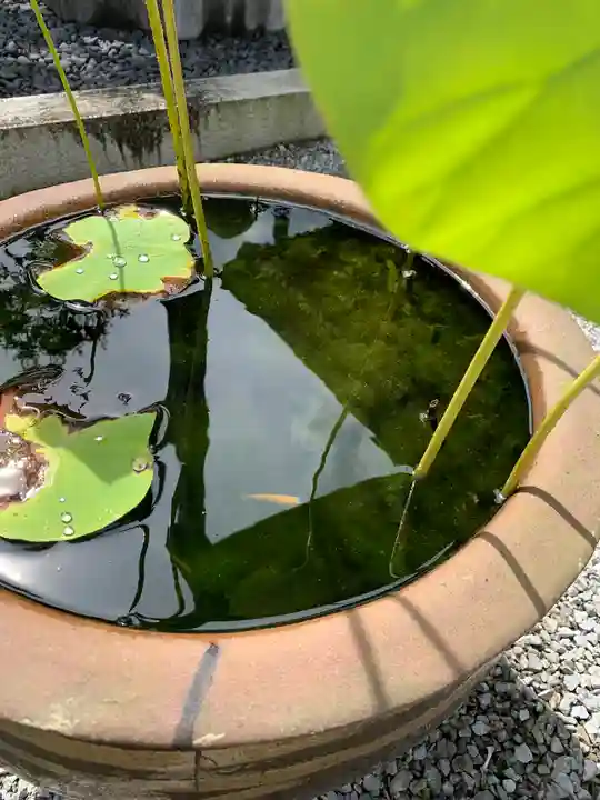 玉塔院(栃木県)