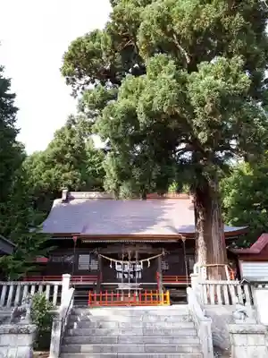 鼬幣稲荷神社の本殿・本堂