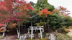 日吉神社(京都府)