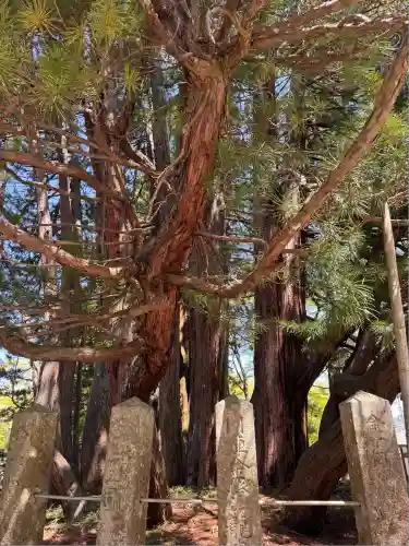 玉桂寺(滋賀県)