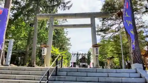 上川神社の鳥居