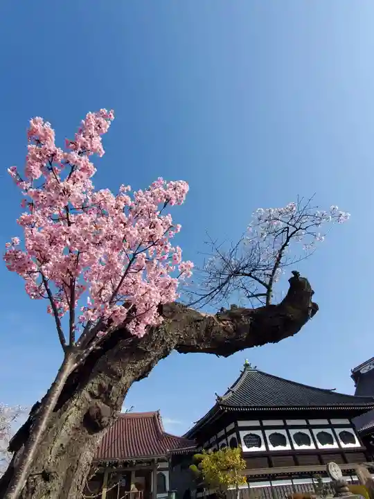 如宝寺(福島県)