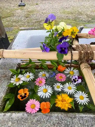 今市報徳二宮神社の手水舎