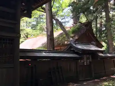 諏訪大社下社春宮の本殿・本堂