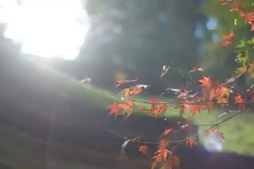 由岐神社(京都府)