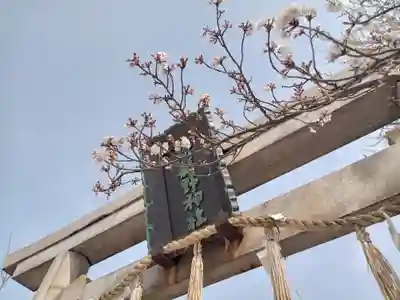 阿部野神社(大阪府)