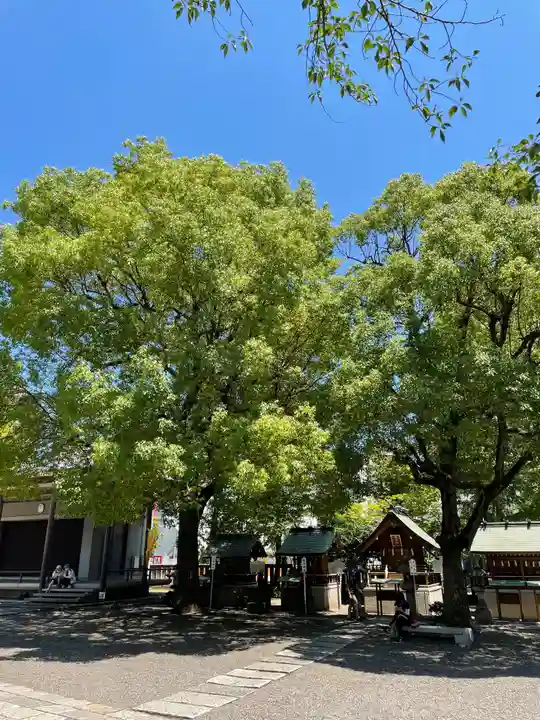 亀戸 香取神社の自然