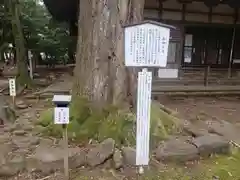 若狭彦姫神社の自然