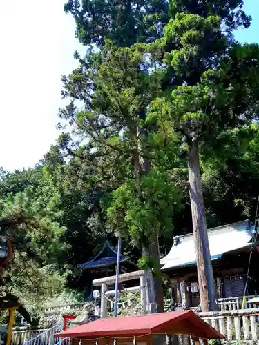 諏訪神社のその他建物