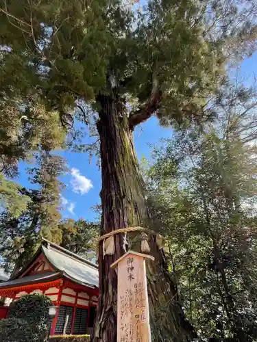 香取神宮の自然