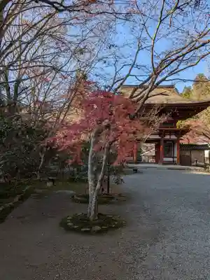 室生寺(奈良県)