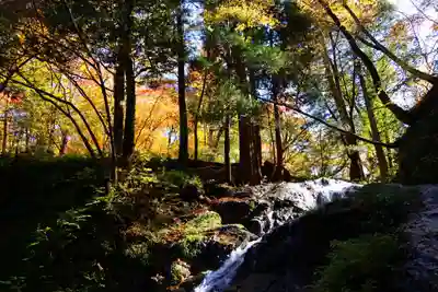 隠津島神社の自然