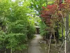 須賀神社の自然