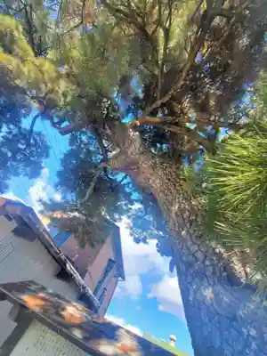 助戸阿弥陀堂(栃木県)