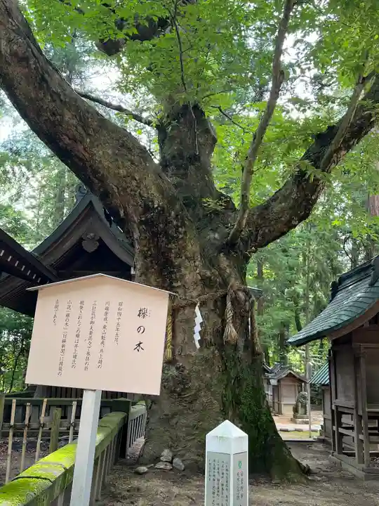 穂高神社本宮(長野県)