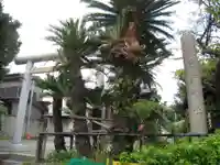 為朝神社(神奈川県)