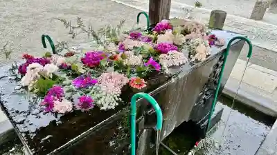 箭弓稲荷神社(埼玉県)