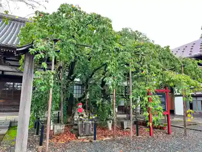 竜谷寺(岩手県)