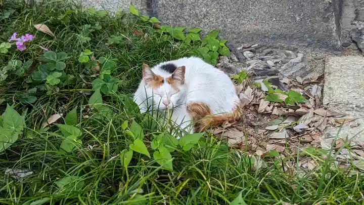 行願寺(革堂)(京都府)