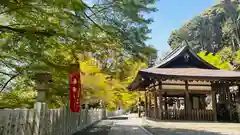 桑田神社(京都府)