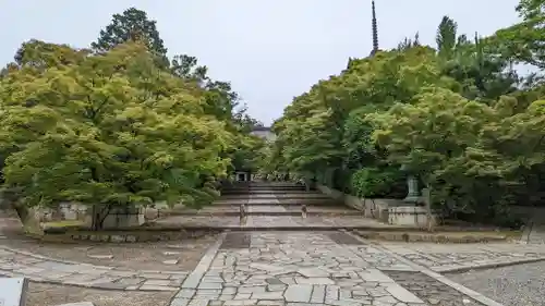 真正極楽寺（真如堂）(京都府)