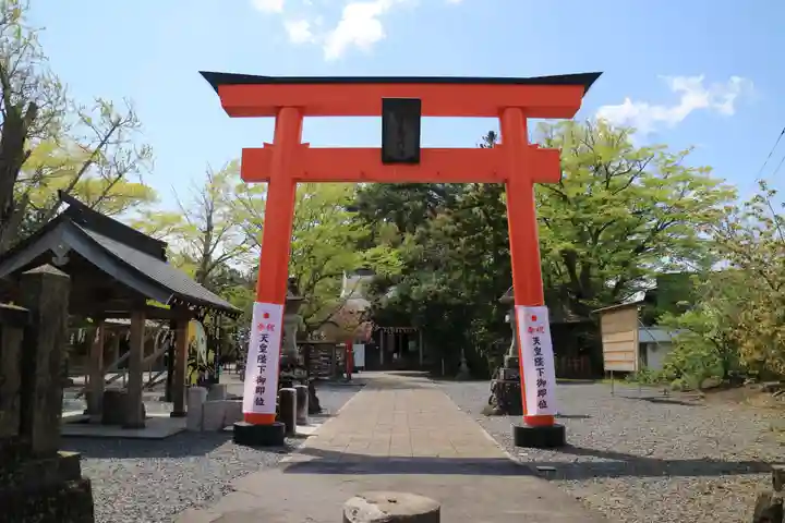 津島神社の鳥居