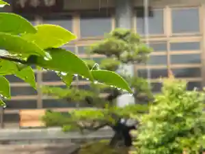 西方山極楽寺(岐阜県)(2026年05月21日(木) 14時58分06秒投稿)
