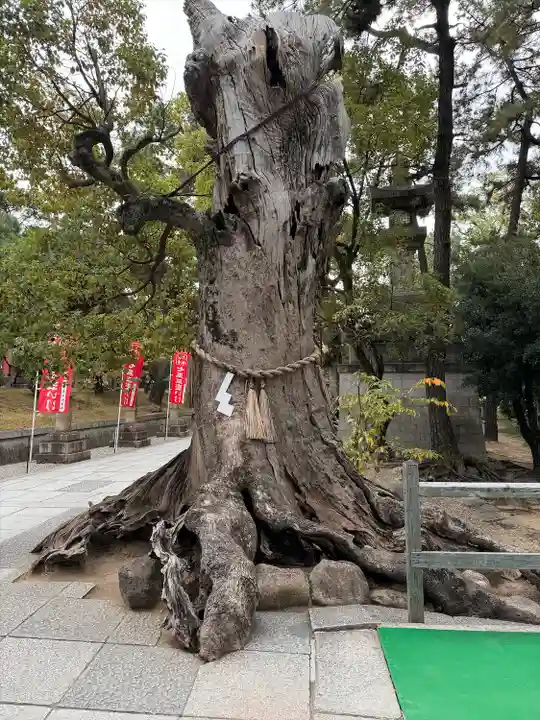 住吉大社の自然