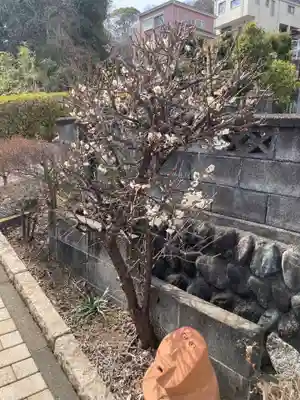 善福寺(神奈川県)