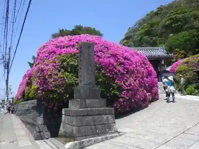 安養院　(田代寺）の周辺