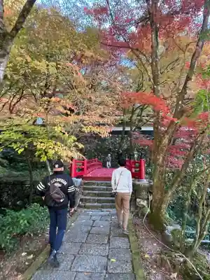 横蔵寺(岐阜県)
