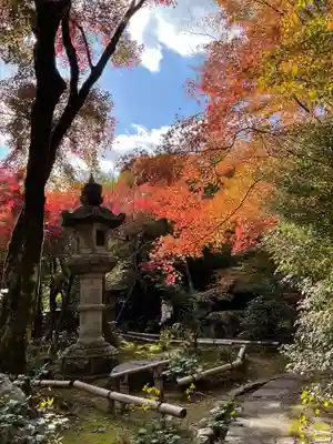 直指庵(京都府)