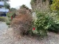 西梅津神明社(京都府)