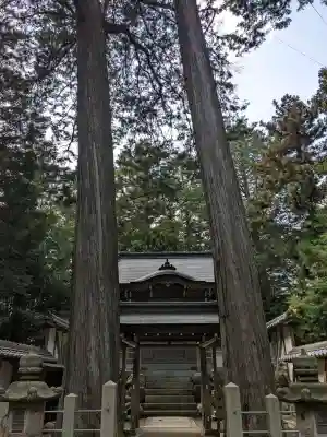 野々宮神社の{uncategorized: "未分類", other: "その他", undefined: "問題あり", building: "その他建物", grave: "お墓", sacred_gate: "鳥居", guardian: "狛犬", statue: "像", buddha: "仏像", history: "歴史", nature: "自然", garden: "庭園", animal: "動物", pagoda: "塔", temizu: "手水舎", mountain_gate: "山門・神門", sanctuary: "本殿・本堂", subordinate: "末社・摂社", art: "芸術", scenery: "景色", jizo: "地蔵", ema: "絵馬", goshuin: "御朱印", omikuji: "おみくじ", items: "授与品その他", amulet: "お守り", goshuincho: "御朱印帳", eats: "食事", festival: "お祭り", votive_dance: "神楽", shichigosan: "七五三参", wedding: "結婚式", experience: "体験その他", initially: "初詣", around: "周辺", anti_infection: "感染症対策"}