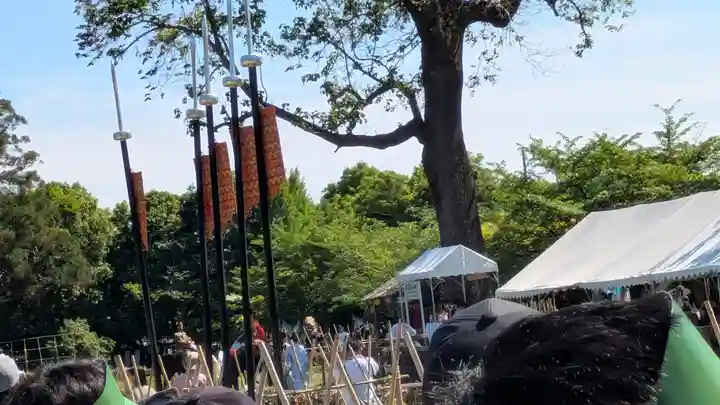 賀茂別雷神社(上賀茂神社)(京都府)