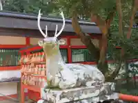 大原野神社の狛犬