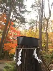 千歳神社の建物その他