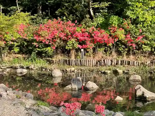 八事山 興正寺の庭園