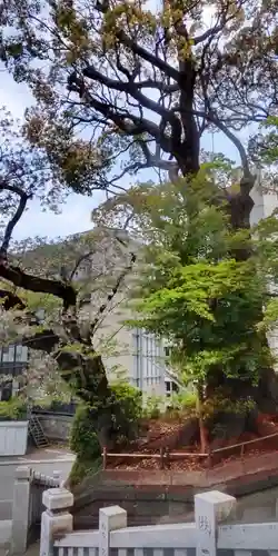 伊勢山皇大神宮(神奈川県)