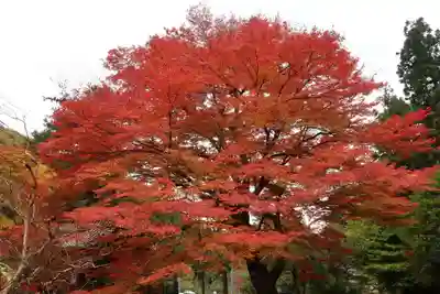 悉地院(滋賀県)