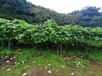 遍照寺(埼玉県)