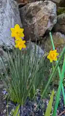 大豊神社の自然