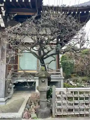 浄桂院の{uncategorized: "未分類", other: "その他", undefined: "問題あり", building: "その他建物", grave: "お墓", sacred_gate: "鳥居", guardian: "狛犬", statue: "像", buddha: "仏像", history: "歴史", nature: "自然", garden: "庭園", animal: "動物", pagoda: "塔", temizu: "手水舎", mountain_gate: "山門・神門", sanctuary: "本殿・本堂", subordinate: "末社・摂社", art: "芸術", scenery: "景色", jizo: "地蔵", ema: "絵馬", goshuin: "御朱印", omikuji: "おみくじ", items: "授与品その他", amulet: "お守り", goshuincho: "御朱印帳", eats: "食事", festival: "お祭り", votive_dance: "神楽", shichigosan: "七五三参", wedding: "結婚式", experience: "体験その他", initially: "初詣", around: "周辺", anti_infection: "感染症対策"}