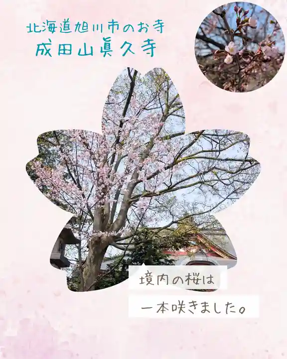 眞久寺(北海道)