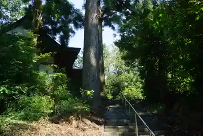 奥泉大井神社の自然