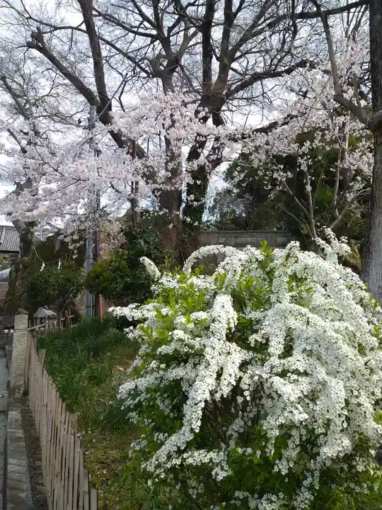 阿智神社の自然