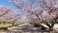 安房神社(千葉県)