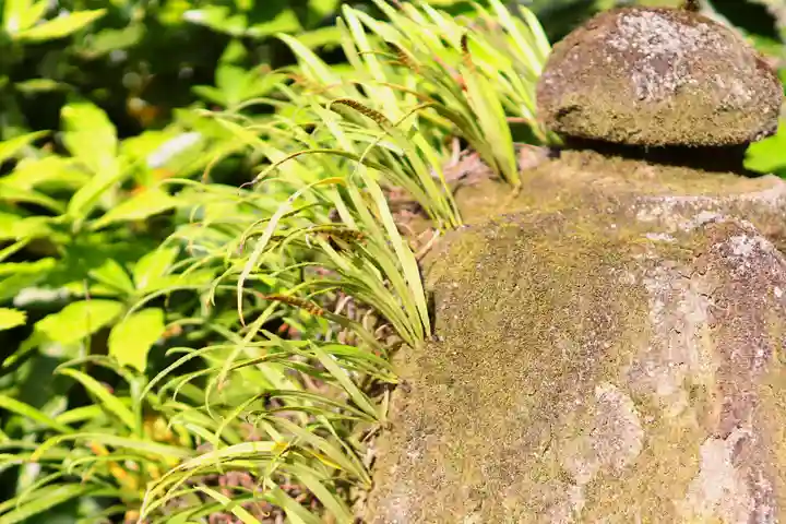 三津厳島神社の自然