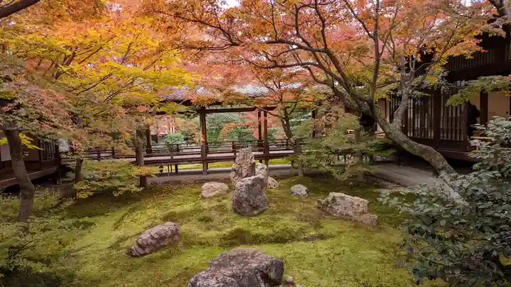 建仁寺(建仁禅寺)(京都府)